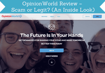 opinionworld review header image