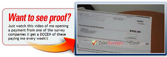 Take Surveys For Cash fake payment proof