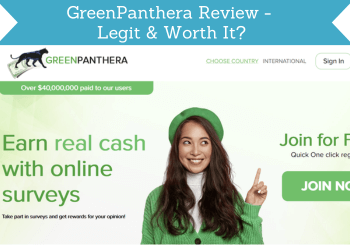 greenpanthera review header image web