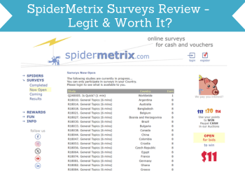 spidermetrix surveys review header image