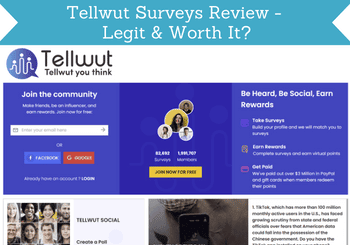 tellwut surveys review header image