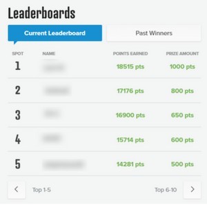 leaderboard-example-prizerebel | PaidFromSurveys.com