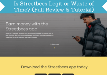 header for streetbees review