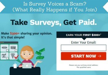 is survey voices a scam
