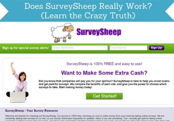 surveysheep review header