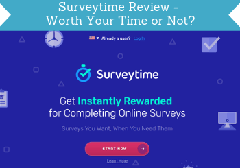 surveytime review header