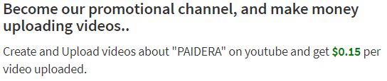 paidera promo video option
