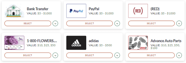 branded surveys payment methods examples