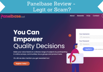 panelbase review header image