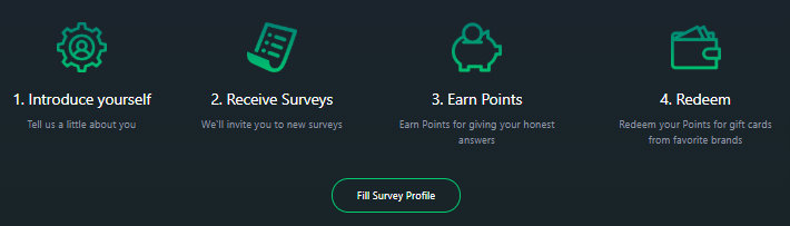 ezpoints survey profile