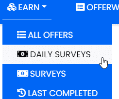 Prizeslab Surveys Overview