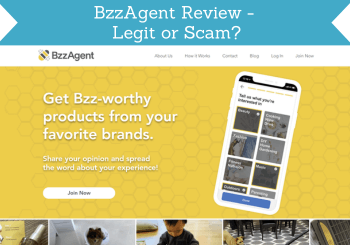 bzzagent review header image