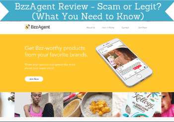 bzzagent review header