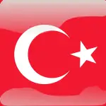 turkey flag button