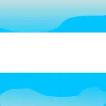 argentina flag button