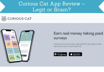 curious cat app review header image