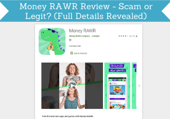 money rawr review header