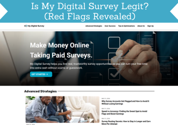 header my digital survey review
