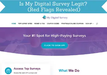 my digital survey review header