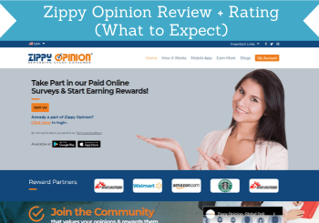 The Zippy Shopper PH 2