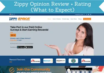 zippy opinion review header