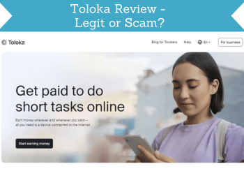 toloka review header image web