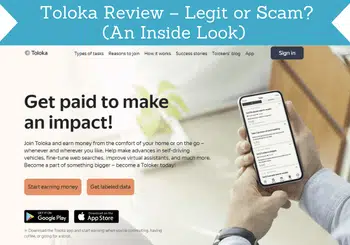 toloka review header image