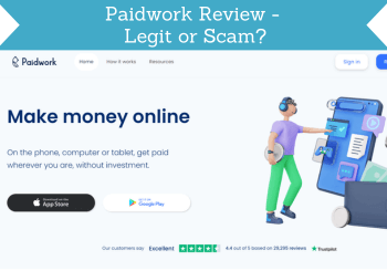 paidwork review header image