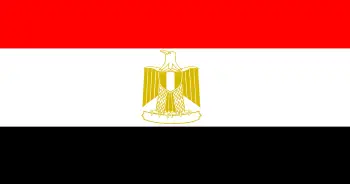 Egypt Surveys Flag