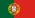Portugal Surveys Flag Small