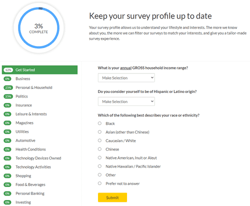 Survey Profile Of Web Perspectives