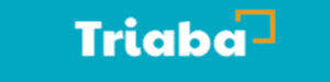 Triaba Surveys Logo