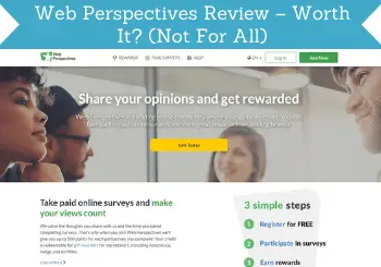 Web Perspectives Review Header