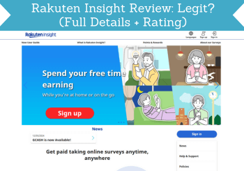 header for rakuten insight review