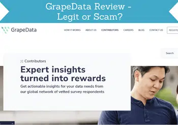 grapedata review header image