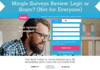 mingle surveys review header