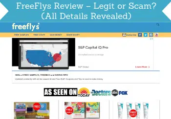 freeflys review header