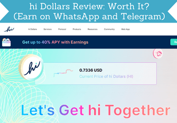 hi dollars review header
