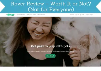 rover review header