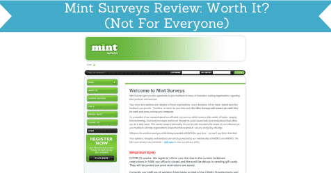 Mint Surveys Review: Worth It? (Not For Everyone)