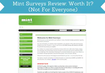 mint surveys review header