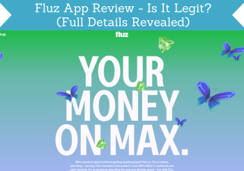 header for fluz app review