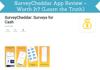 surveycheddar app review header