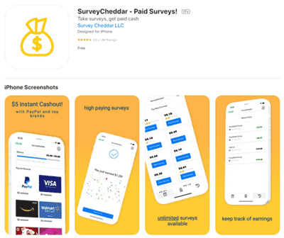 surveycheddar app