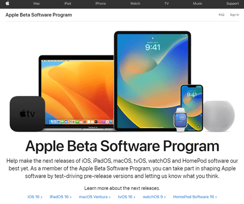 apple beta software program