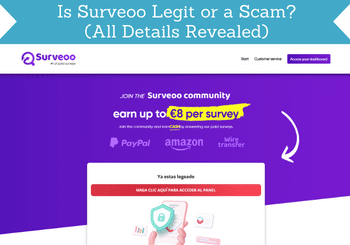 surveoo review header