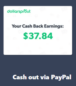 payment option of dollarsprout rewards