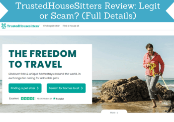 trustedhousesitters review header
