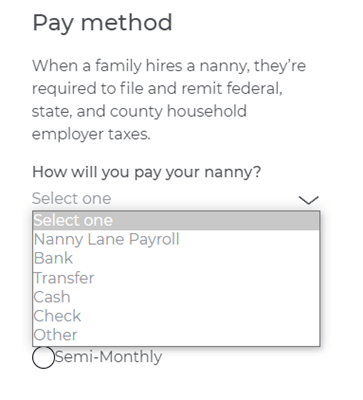 nanny lane payment method