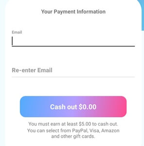 payment methods of surveyparty